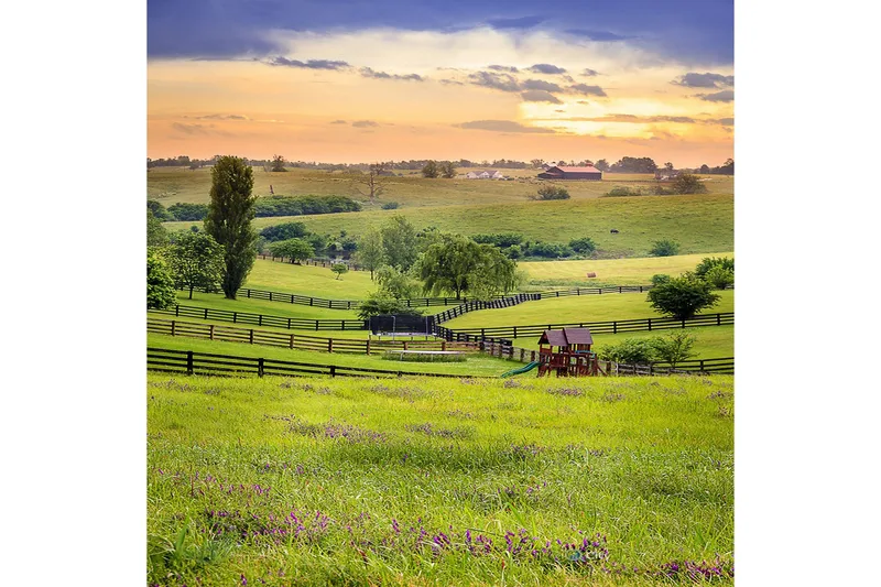 Homefesto Matta 100x150 cm - Multifärgad - Textil & mattor - Mattor - Orientaliska mattor