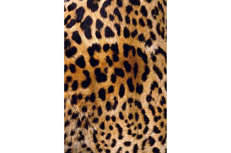 Homefesto Matta 100x300 cm - Multifärgad/Sammet - Textil & mattor - Mattor - Orientaliska mattor
