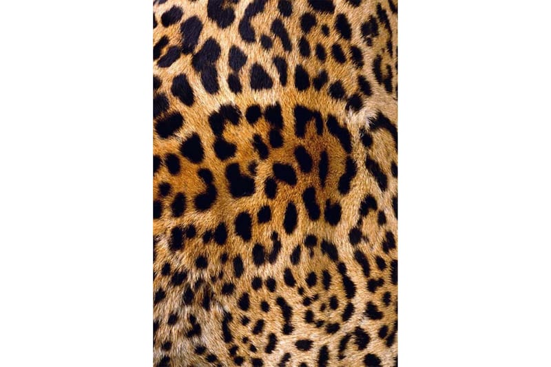 Homefesto Matta 120x180 cm - Multifärgad/Sammet - Textil & mattor - Mattor - Orientaliska mattor
