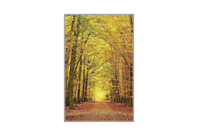 Homefesto Matta 180x280 cm - Multifärgad - Textil & mattor - Mattor - Orientaliska mattor