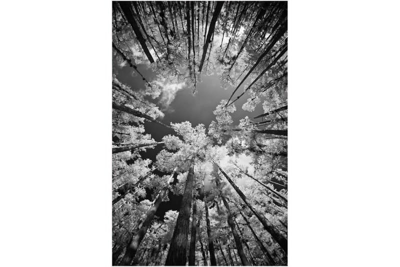 Homefesto Matta 180x280 cm - Multifärgad/Sammet - Textil & mattor - Mattor - Orientaliska mattor