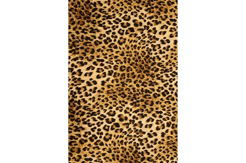 Homefesto Matta 80x150 cm - Multifärgad/Sammet - Textil & mattor - Mattor - Orientaliska mattor