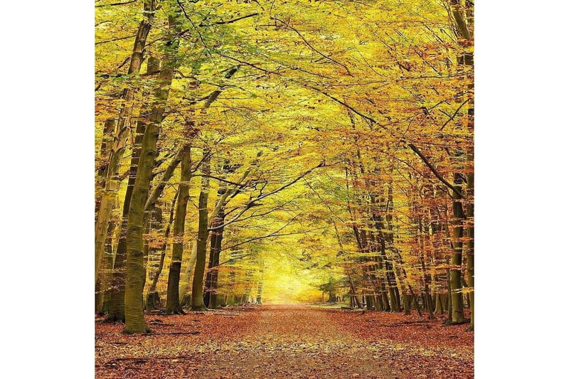 Homefesto Matta 80x300 cm - Multifärgad - Textil & mattor - Mattor - Orientaliska mattor