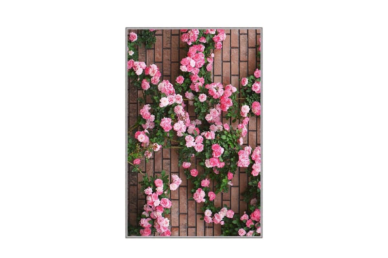 Homefesto Matta 80x300 cm - Multifärgad - Textil & mattor - Mattor - Orientaliska mattor