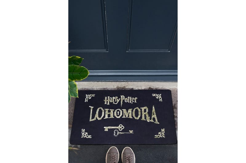 Chilai Dörrmatta 45x70 cm - PVC/Multifärgad - Textil & mattor - Mattor - Dörrmatta & hallmatta