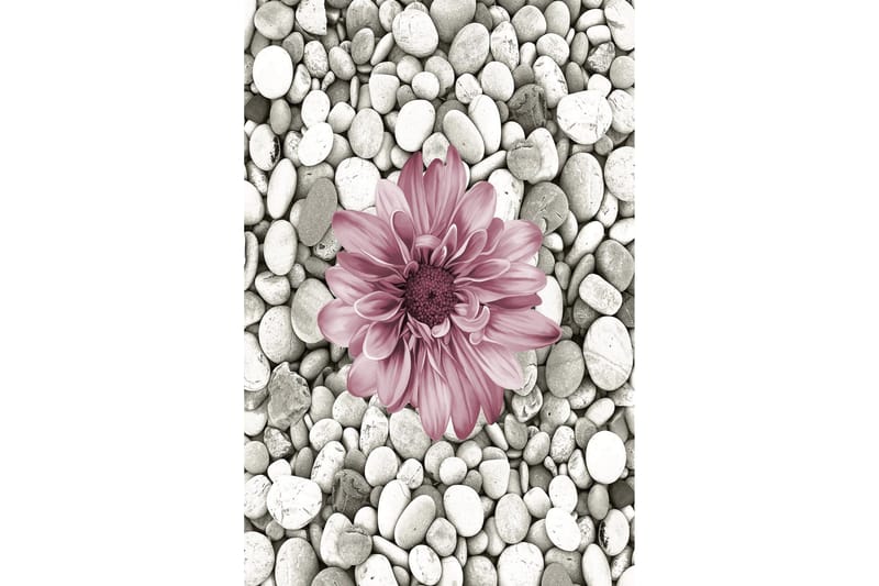 Homefesto Matta 60x100 cm - Multifärgad - Textil & mattor - Mattor - Modern matta - Wiltonmattor