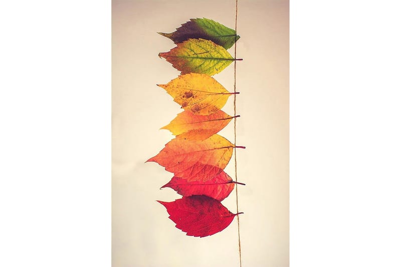 Homefesto Matta 60x100 cm - Multifärgad - Textil & mattor - Mattor - Små mattor