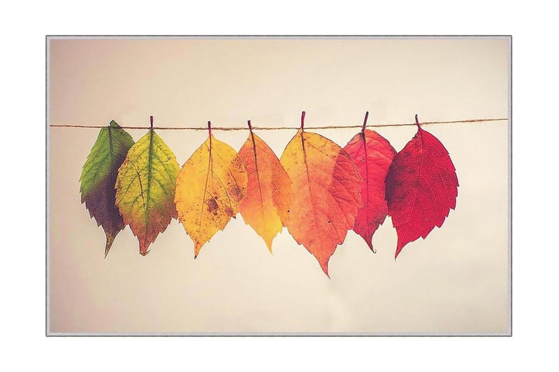 Homefesto Matta 60x100 cm, Multifärgad