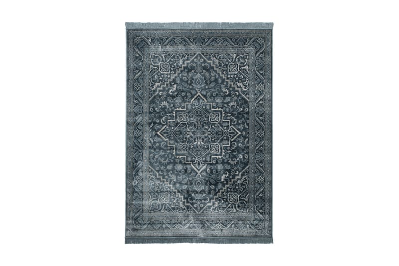 Breana Matta 200x300 - Blå - Orientaliska mattor - Persisk matta