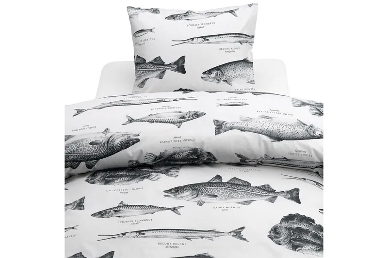 Påslakanset Enkelsäng 2-Dels Havsfiskar Vit, undefined