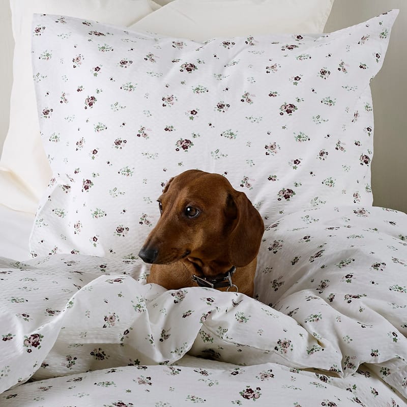 Påslakanset Enkelsäng 2-Dels Set Anna - Röd - Textil & mattor - Sängkläder - Bäddset & påslakanset