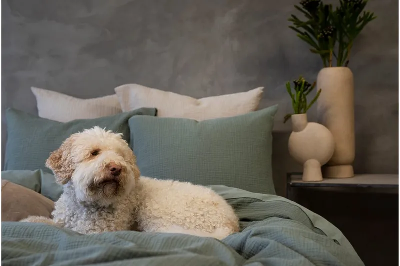 Påslakanset Dubbelsäng 3-Dels Rolling - Grön - Textil & mattor - Sängkläder - Bäddset & påslakanset - Påslakanset enkelsäng