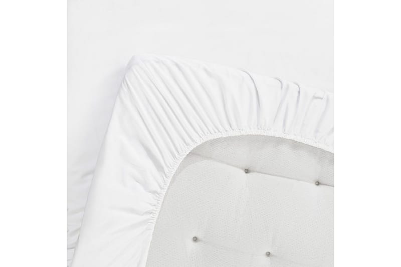 Dra-på-lakan Egyptisk Bomull, 180 x 200 cm