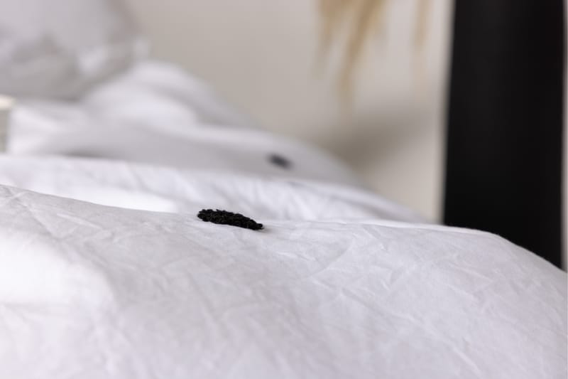 Loke Bedset - Vit - Textil & mattor - Sängkläder - Bäddset & påslakanset