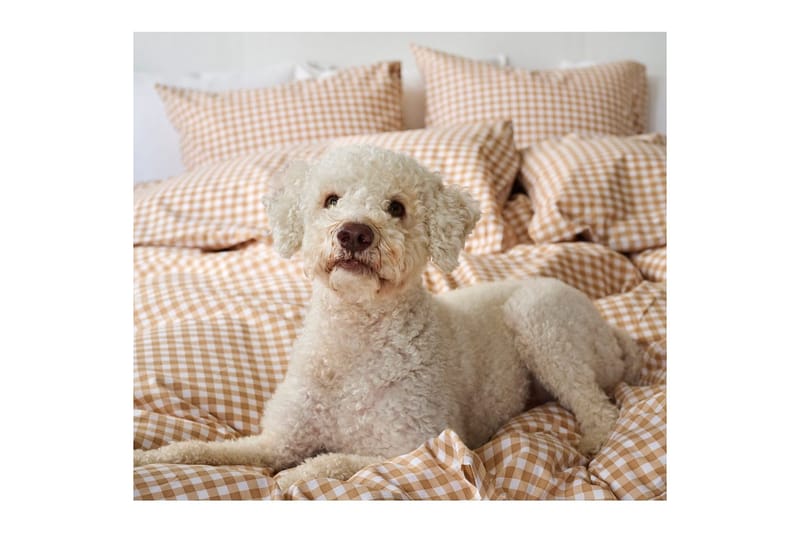 Påslakanset Enkelsäng 2-Dels M ärta Ruta - Gul - Textil & mattor - Sängkläder - Täcke