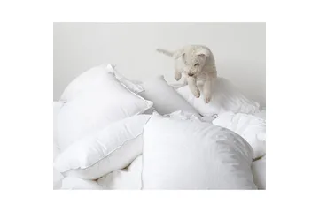 Kudde Hotellkudde - 50 x 60 cm (låg) - Textil & mattor - Sängkläder - Sovkudde - Innerkudde & huvudkudde