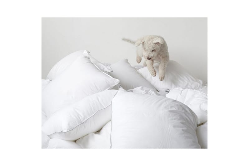 Kudde Hotellkudde - 50 x 60 cm (hög) - Textil & mattor - Sängkläder - Sovkudde - Innerkudde & huvudkudde