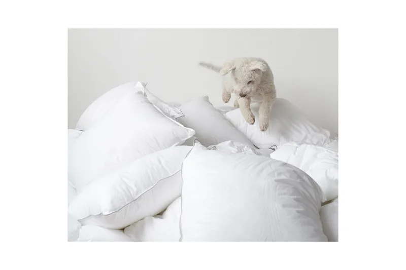 Kudde Hotellkudde - 50 x 60 cm (mellanhög) - Textil & mattor - Sängkläder - Sovkudde - Innerkudde & huvudkudde