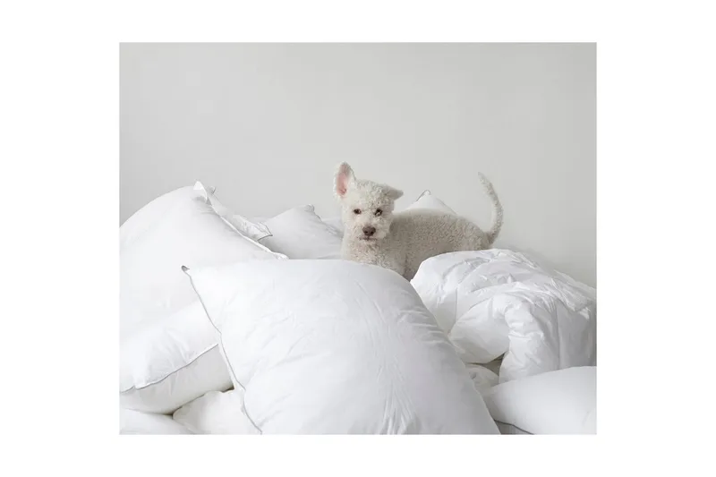 Kudde Hotellkudde - 50 x 70 cm - Textil & mattor - Sängkläder - Sovkudde - Innerkudde & huvudkudde