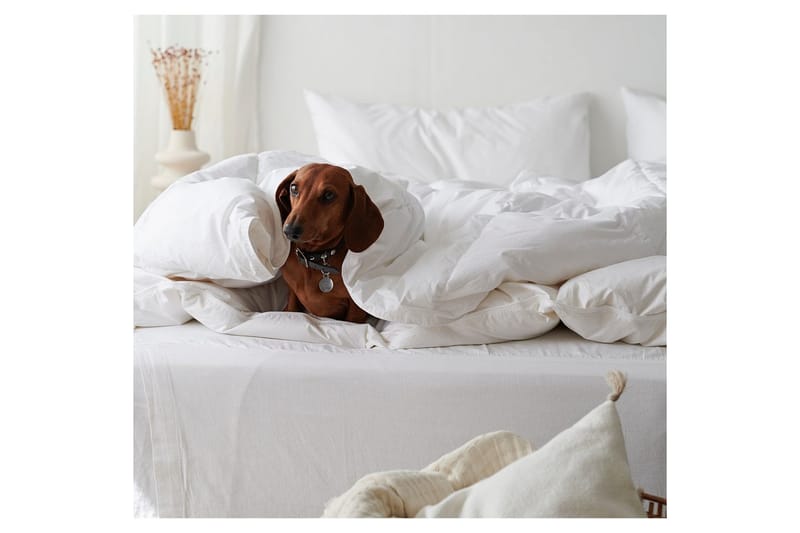 Täcke Hotelltäcke 150 x 200 cm - Standard - Textil & mattor - Sängkläder - Täcke