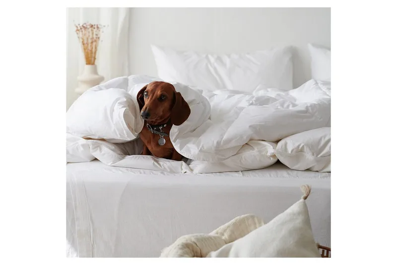 Täcke Hotelltäcke 150 x 200 cm - Varmt - Textil & mattor - Sängkläder - Täcke