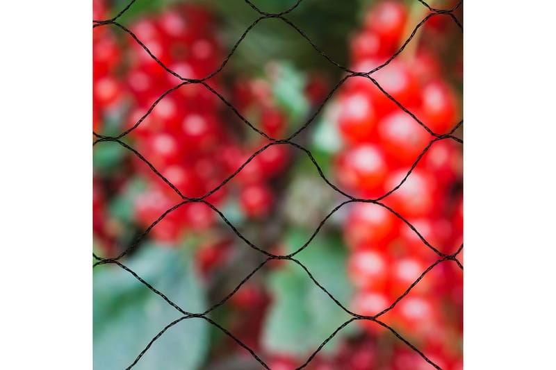 Nature Fågelnät Primo 10x4 svart 6030406 - Trädgård & spabad - Trädgårdsskötsel - Odling - Plantering & förkultivering - Plastnät & trädgårdsnät