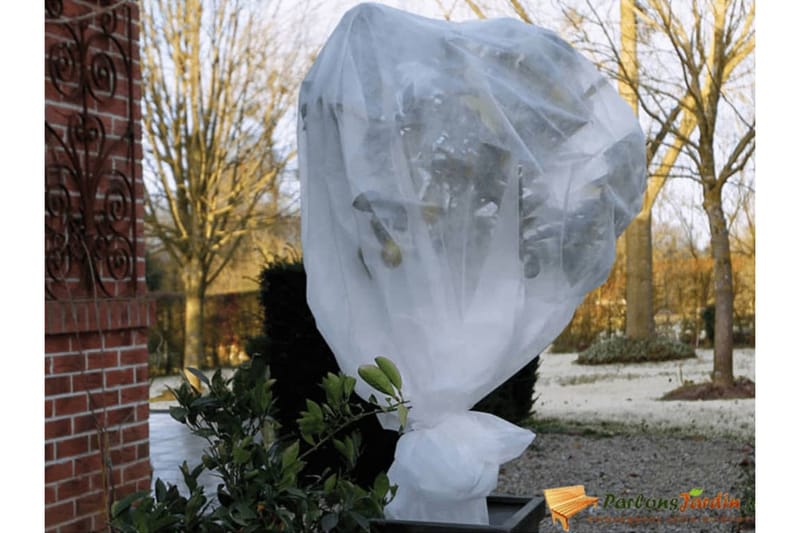 Nature Frostskydd för växter fleece 30 g/m² vit 2x5 m - Vit - Trädgård & spabad - Trädgårdsskötsel - Odling - Plantering & förkultivering - Plastnät & trädgårdsnät