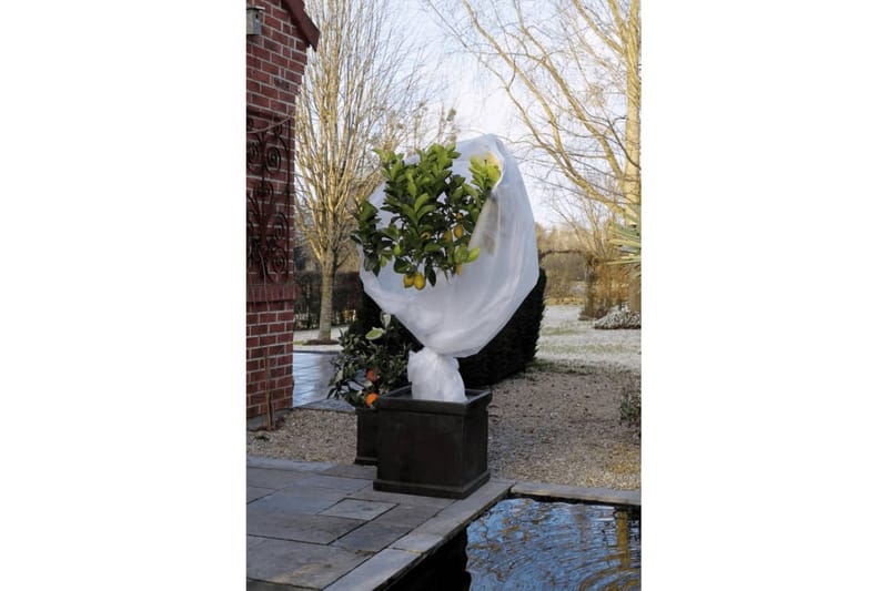 Nature Frostskydd för växter fleece 30 g/m² vit 2x5 m - Vit - Trädgård & spabad - Trädgårdsskötsel - Odling - Plantering & förkultivering - Plastnät & trädgårdsnät