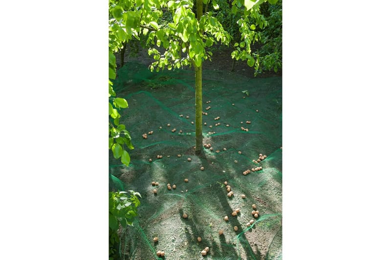 Nature Frukt- och lövnät 4,3x4,3 m 6030451 - Trädgård & spabad - Trädgårdsskötsel - Odling - Plantering & förkultivering - Plastnät & trädgårdsnät