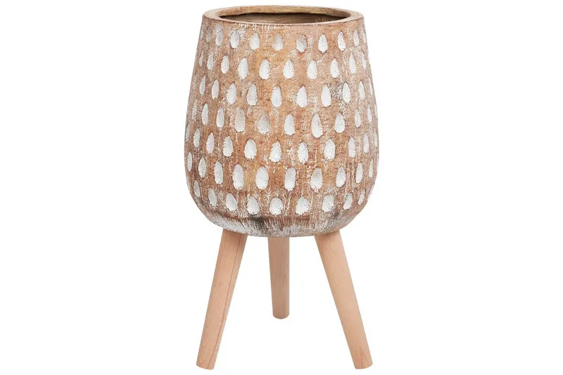 Trädgårdskruka Asclepias, undefined