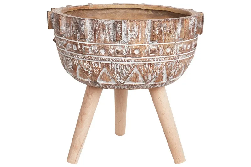 Trädgårdskruka Asplenium, undefined