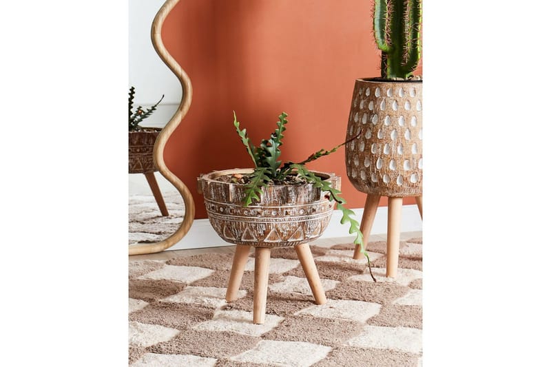 Trädgårdskruka Asplenium - Trädgård & spabad - Trädgårdsskötsel - Odling - Planteringskärl & blomkruka - Stor blomkruka