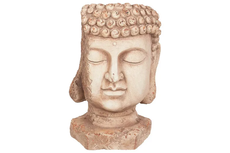 Trädgårdskruka Butomus, undefined