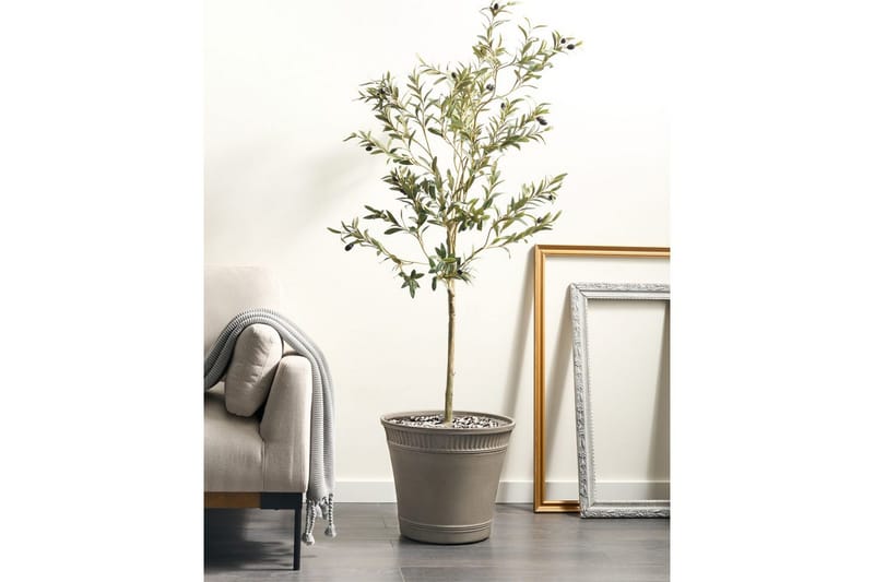 Trädgårdskruka Cistus - Trädgård & spabad - Trädgårdsskötsel - Odling - Planteringskärl & blomkruka - Stor blomkruka