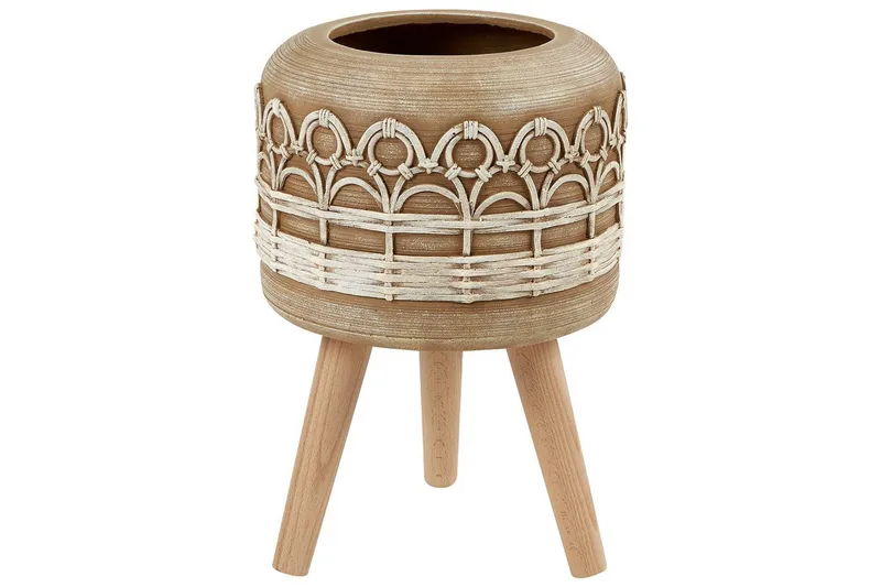 Trädgårdskruka Cyrtomium, undefined