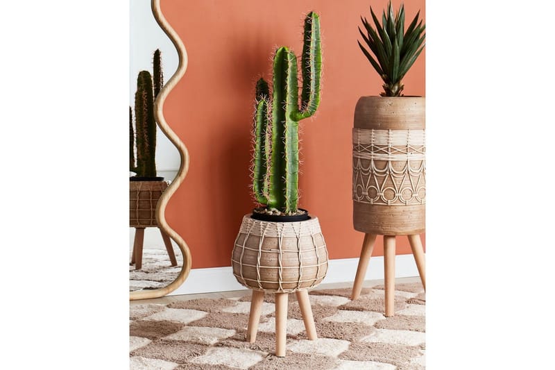 Trädgårdskruka Darmera - Trädgård & spabad - Trädgårdsskötsel - Odling - Planteringskärl & blomkruka - Stor blomkruka