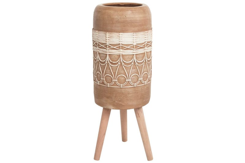 Trädgårdskruka Dryopteris, undefined