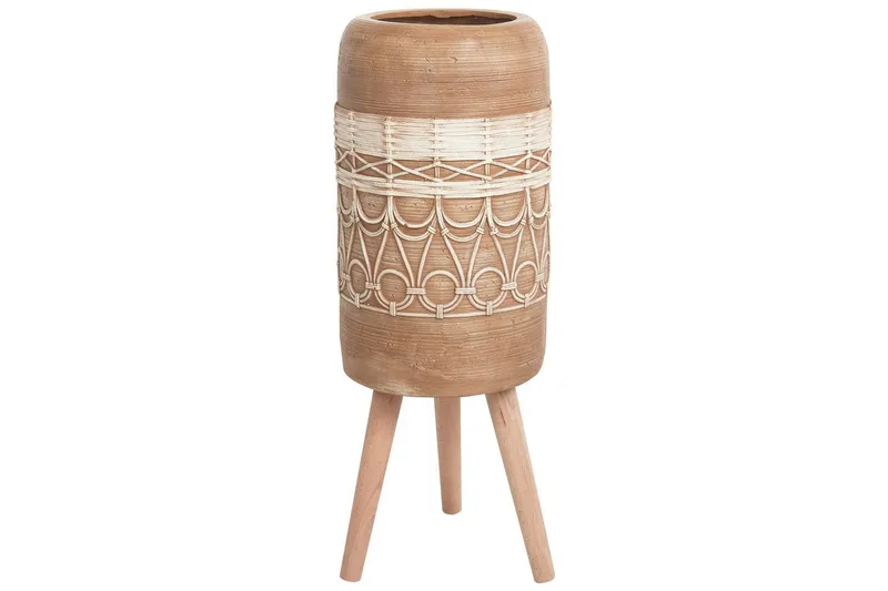 Trädgårdskruka Dryopteris, undefined