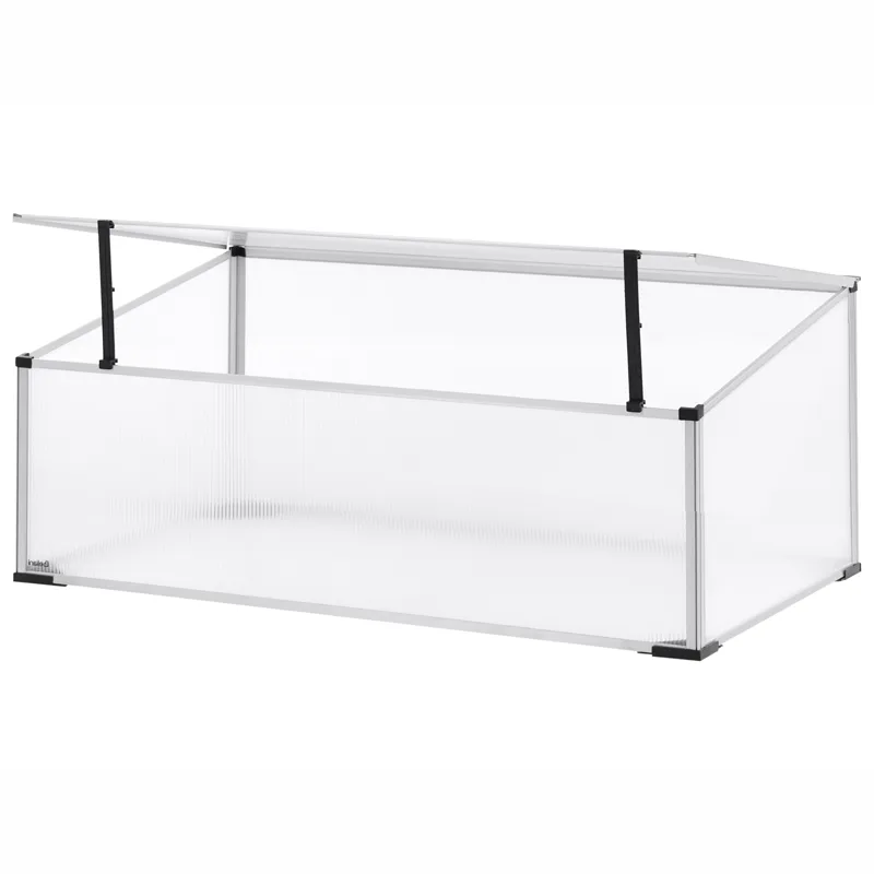 Växthus För Trädgård Carfizzi Silver 60, Silver/Transparent