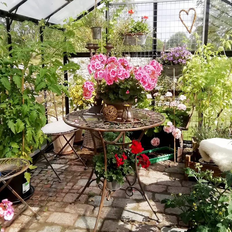 Glasväxthus 11,1m² | 4mm säkerhetsglas | 5 års stormgaranti | Svart - Trädgård & spabad - Trädgårdsskötsel - Växthus