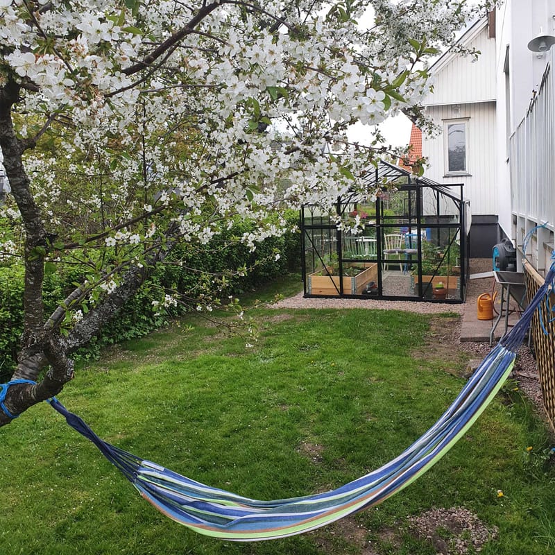 Glasväxthus 11,1m² | 4mm säkerhetsglas | 5 års stormgaranti | Svart - Trädgård & spabad - Trädgårdsskötsel - Växthus