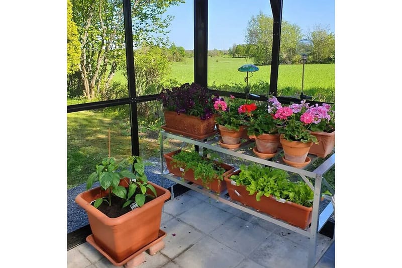 Glasväxthus 13m² | 4mm säkerhetsglas | Marvell | 5 års stormgaranti - Antracit - Trädgård & spabad - Trädgårdsskötsel - Växthus