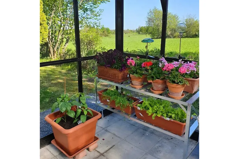 Glasväxthus 13m² | 4mm säkerhetsglas | Marvell | 5 års stormgaranti - Antracit - Trädgård & spabad - Trädgårdsskötsel - Växthus