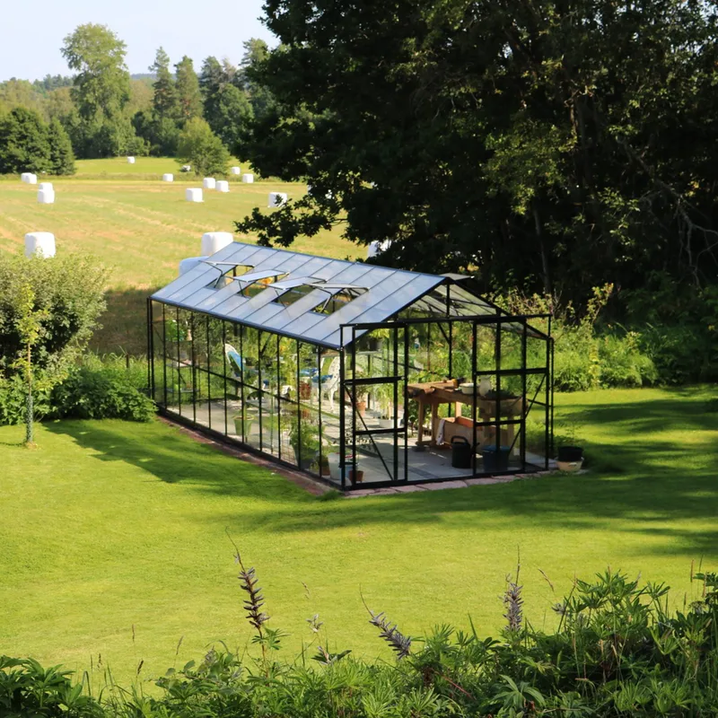 Glasväxthus 17,5 m² | 5 års stormgaranti | 4mm säkerhetsglas | Svart - Trädgård & spabad - Trädgårdsskötsel - Växthus