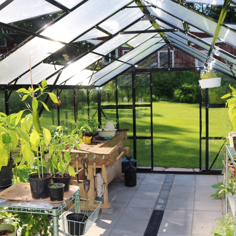 Glasväxthus 17,5 m² | 5 års stormgaranti | 4mm säkerhetsglas | Svart - Trädgård & spabad - Trädgårdsskötsel - Växthus