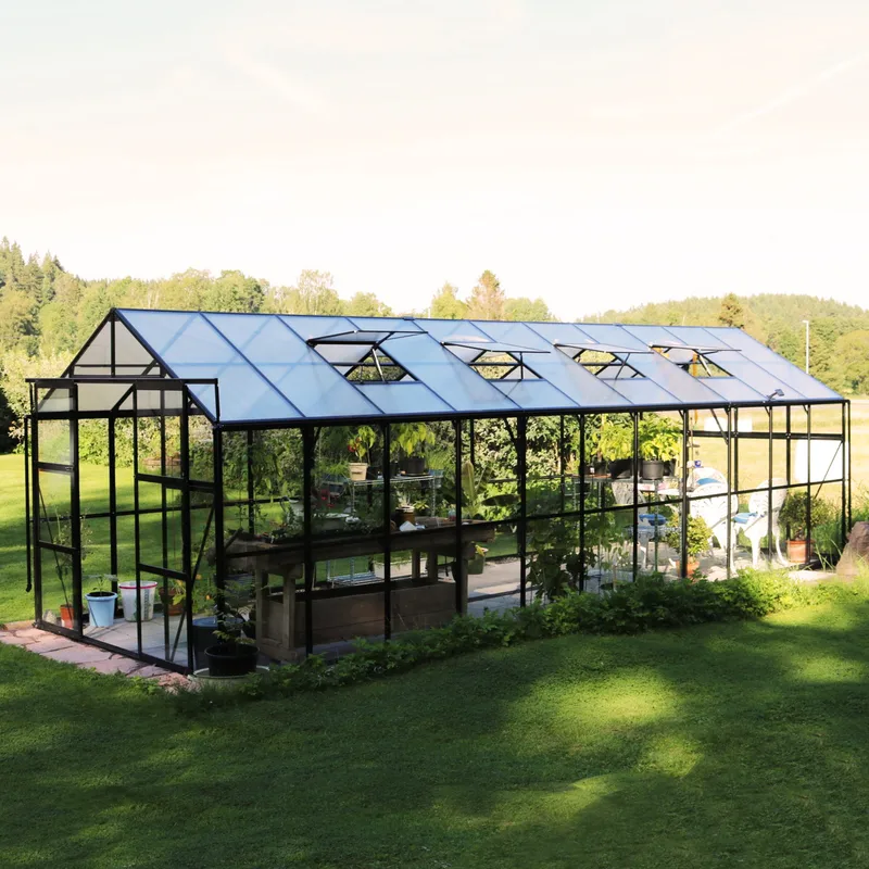 Glasväxthus 17,5 m² | 5 års stormgaranti | 4mm säkerhetsglas | Svart - Trädgård & spabad - Trädgårdsskötsel - Växthus