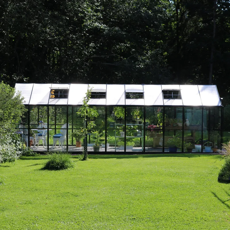 Glasväxthus 17,5 m² | 5 års stormgaranti | 4mm säkerhetsglas | Svart - Trädgård & spabad - Trädgårdsskötsel - Växthus