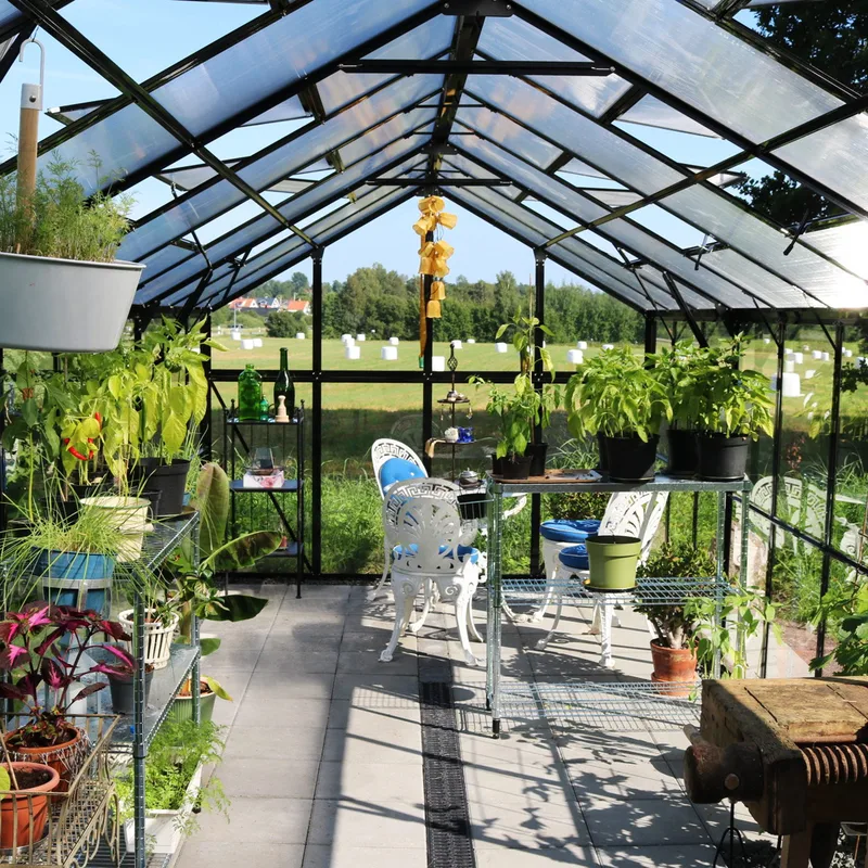 Glasväxthus 17,5 m² | 5 års stormgaranti | 4mm säkerhetsglas | Svart - Trädgård & spabad - Trädgårdsskötsel - Växthus