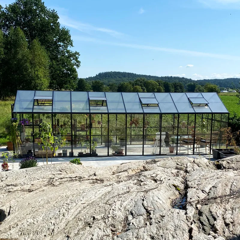 Glasväxthus 19m² | 5 års stormgaranti | 4mm säkerhetsglas | Svart - Trädgård & spabad - Trädgårdsskötsel - Växthus