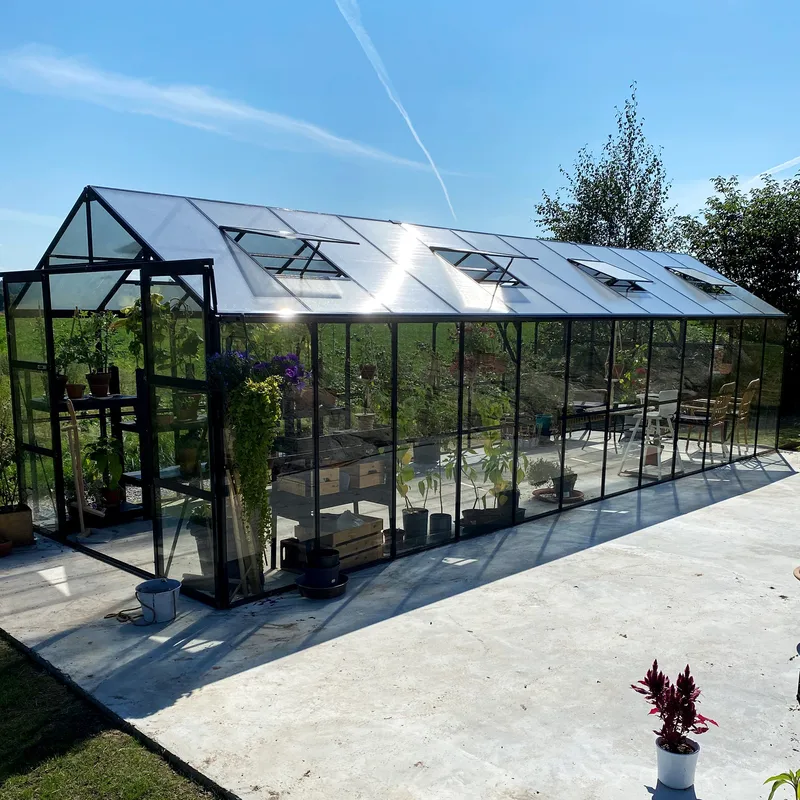 Glasväxthus 19m² | 5 års stormgaranti | 4mm säkerhetsglas | Svart - Trädgård & spabad - Trädgårdsskötsel - Växthus